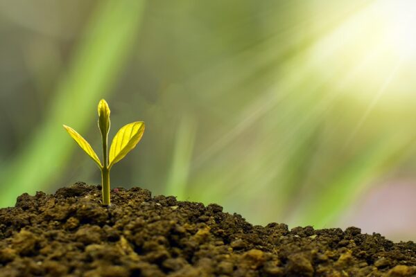 Exploring Niche Markets: Best Trading Platforms for Alternative Investments